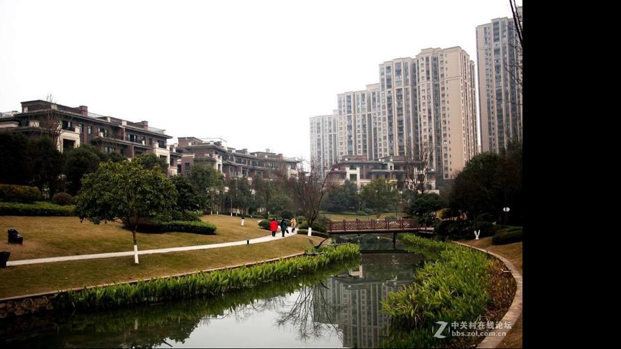 職業(yè)經(jīng)紀人msii田