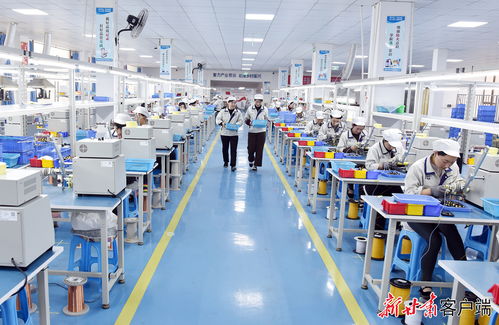 康樂(lè)東西協(xié)作鄉(xiāng)村就業(yè)工廠節(jié)后復(fù)工生產(chǎn)忙，職業(yè)中介活動(dòng)助力就業(yè)